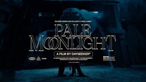 متن و ترجمه آهنگ Pale Moonlight