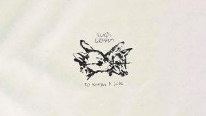 متن و ترجمه آهنگ To Know A Girl