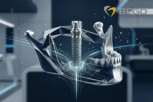 Home مجله بدونیم 2