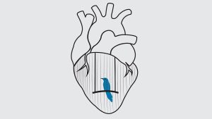 متن و ترجمه شعر Bluebird