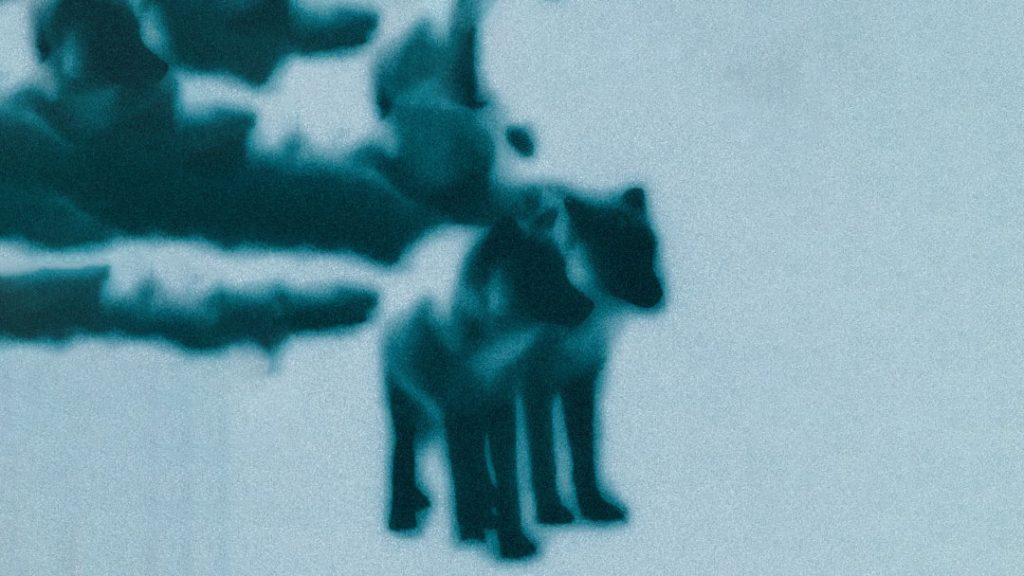 متن و ترجمه آهنگ Tame